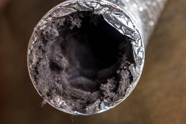 Best Commercial HVAC Duct Cleaning  in Palm Beach Gardens, FL